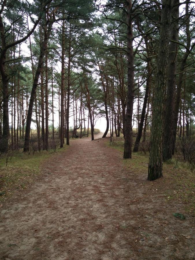 Ferienwohnung Am Kustenwald Trassenheide Kültér fotó